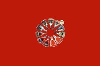 福田回收红酒